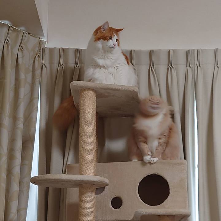 F18503ae 7c7e 48f5 aaf6 b5be7b519f2a 1608946481495