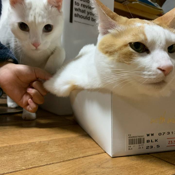 F1850925 db57 4f40 91ed 6391f9cb5acb 1582807450068