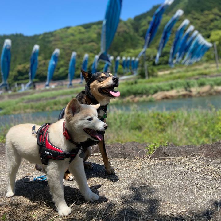 F1851102 a8e7 4b31 adfd ccdf94dbc5f7 1714812816088