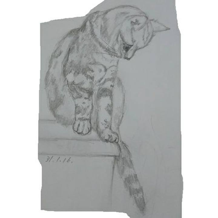 F18562a9 9f57 454b 98fe ad770519faaa 1549182771302