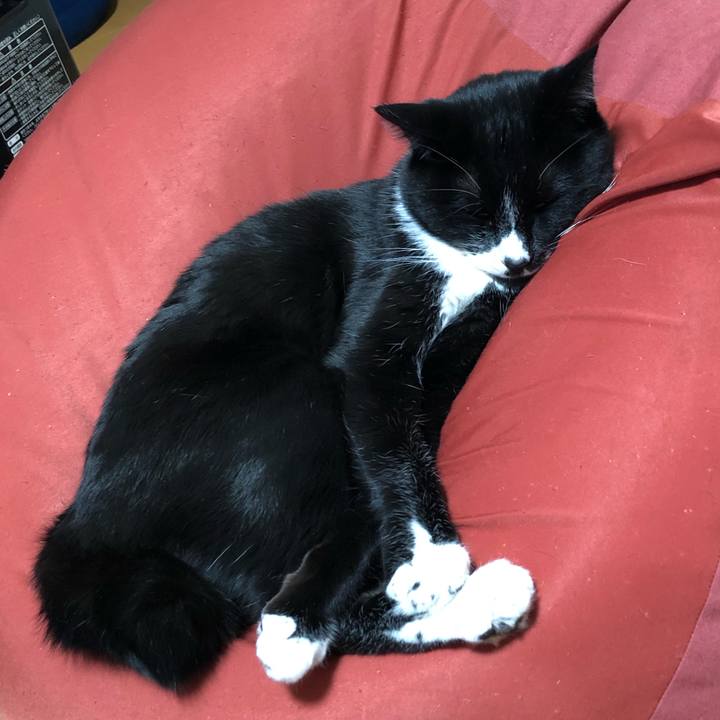 F1857e17 64cb 4953 abdb 2b0c9dd4d639 1643081951312