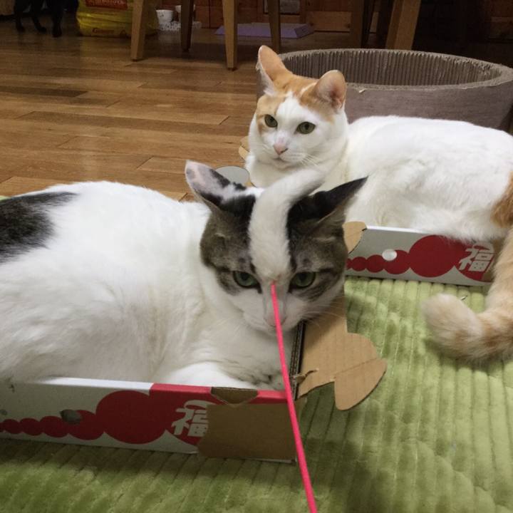 F185951a d82d 41e6 9352 0703179519d6 1551511412877