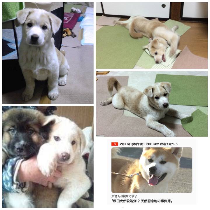 F185a49a 7884 40ac 99e6 874e8794b625 1676527148325