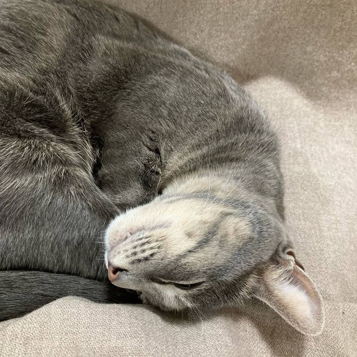 F185a8d8 4ce1 4c88 8269 f23b2f81e12b 1637673735600