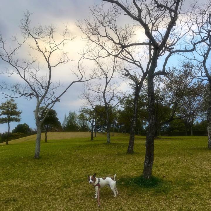 F185a976 9e3e 4870 beb6 df7664165232 1523131775922