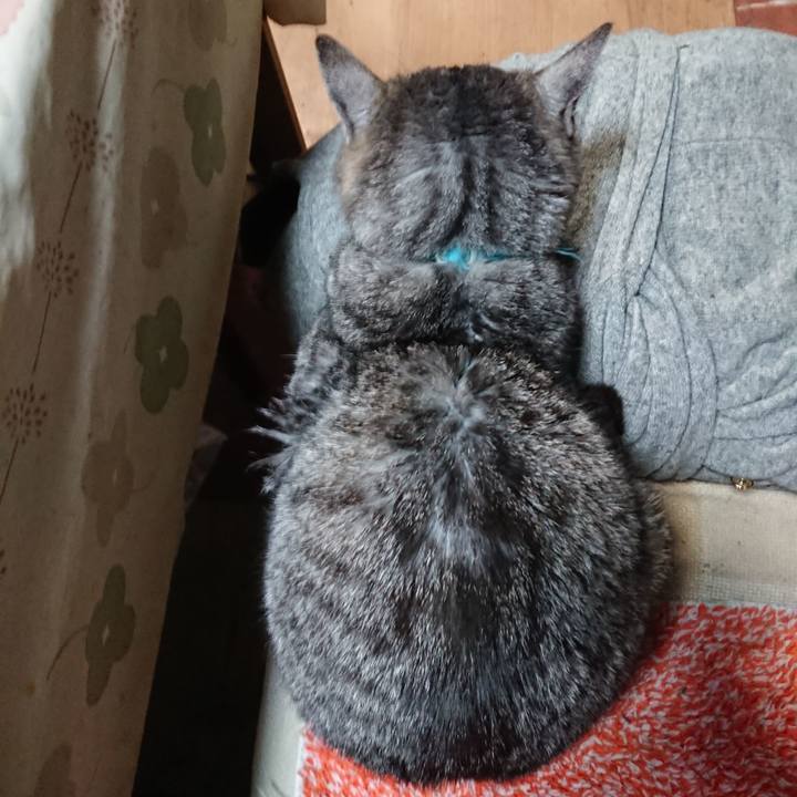 F185bd5c 0d79 4d79 ab21 488006d1e99d 1576141354309