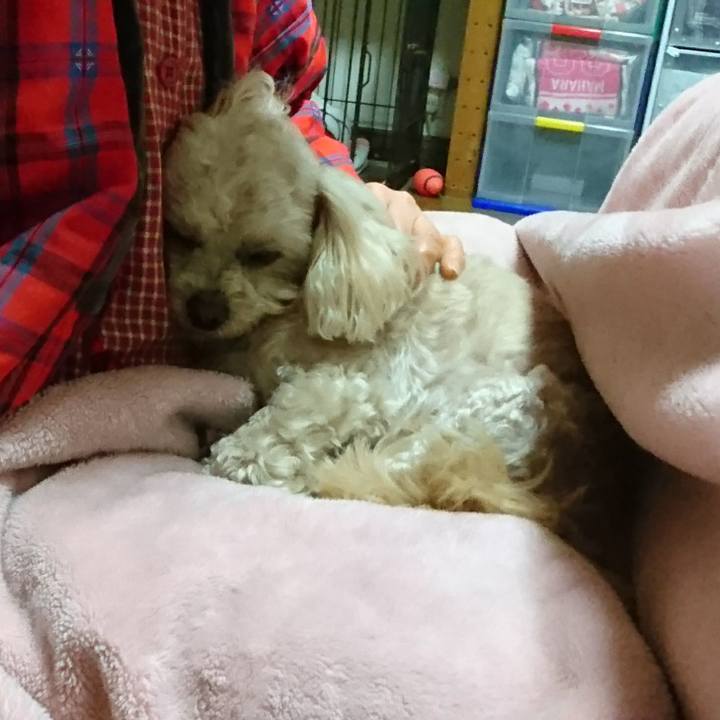 F185e836 b460 4fdd aa39 0d31089f62ab 1520520748498