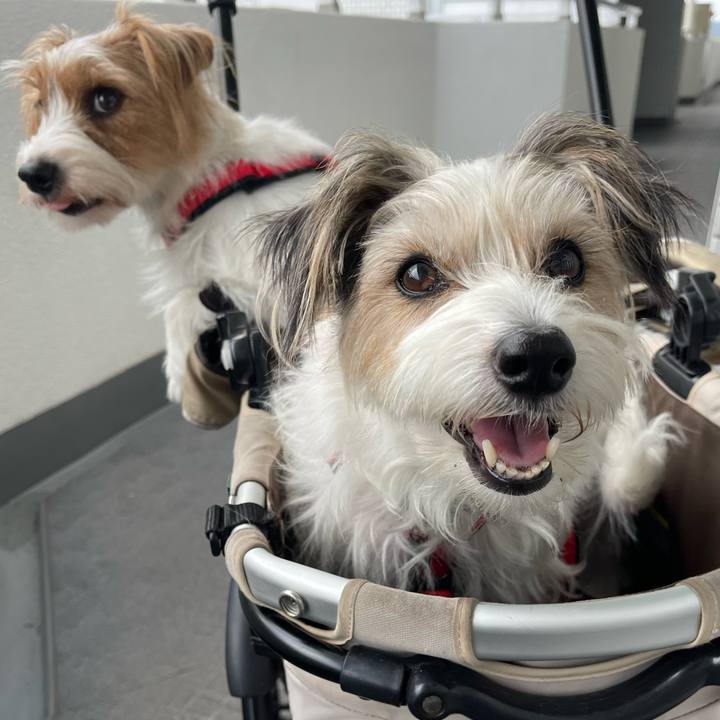 F185f26b 634b 4d37 918c 36c3c1d47bd1 1760086600716