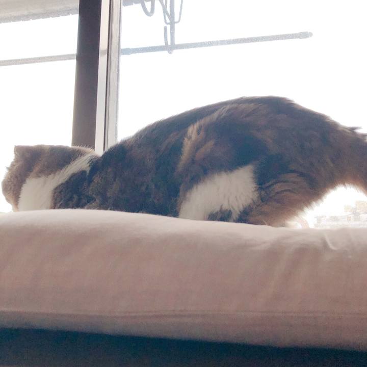 F18618e5 bac8 43ba b61e 34fad7eeadfb 1567064772245