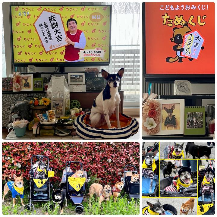 F1863b38 464c 4464 aa93 38099cee803d 1682288310982