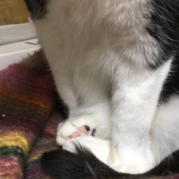 F1863ddf f940 47df b1be 41e07271427f 1525259173334