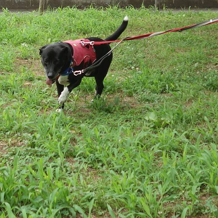 F186debf dd04 4fc7 941c f48ee551abf7 1689298505466