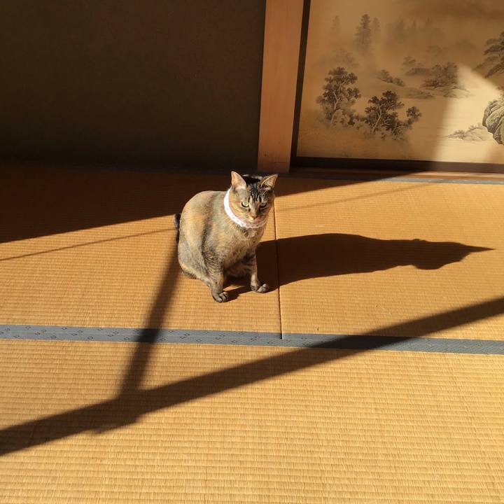 F187035b da50 4a3d aebe 811095794def 1609464075821