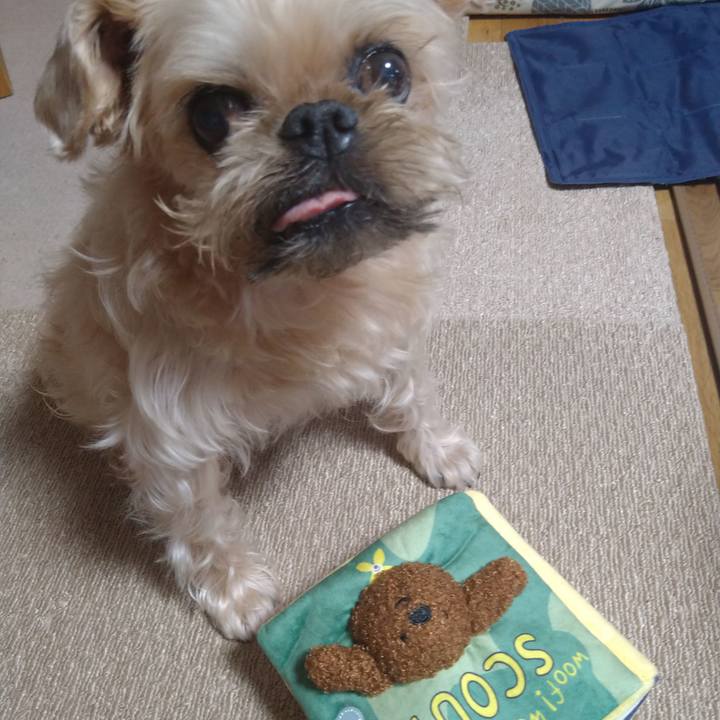 F18715ad 9736 4e73 8c41 97b740a505bd 1658269824416