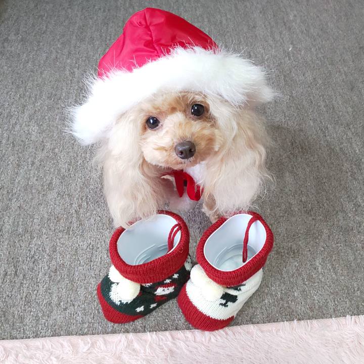 F1874a19 5e03 48b8 928f 463189dcccdf 1576570561816