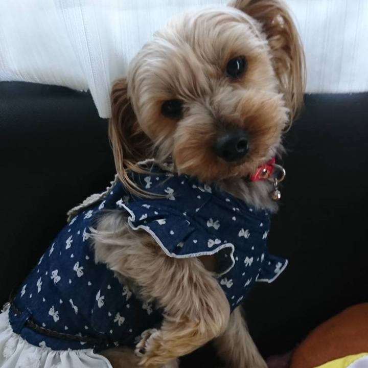 F187d124 2086 4783 939c 8c89e791d84a 1524126448121