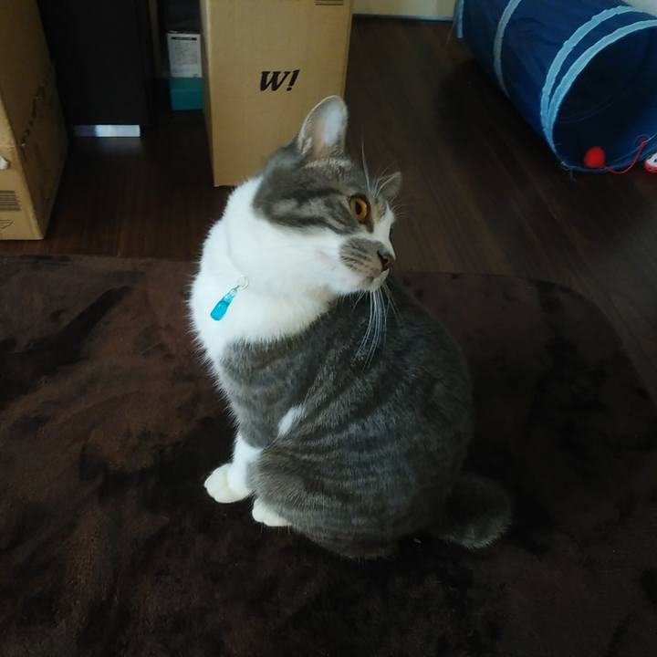 F1884323 46a9 43ac bc99 e4bad691a4f8 1580095174986