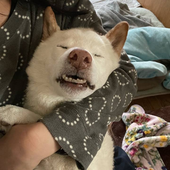 F1886661 5498 4126 8410 20c84f53a84b 1638777018932