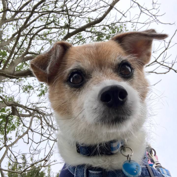 F1887583 eb9a 431f 874f e5982563407f 1634628783111