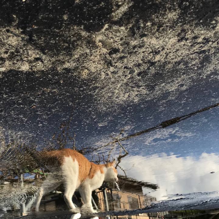 F18875b1 e66c 4d49 93aa 9c8c2c3245a9 1511504267795