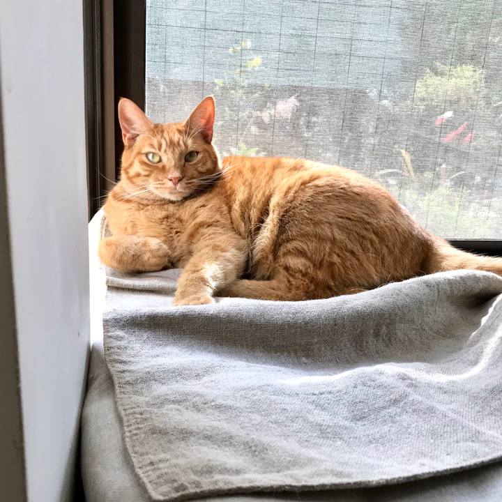 F1889264 8d53 4d1d bbda 86569c11bf8b 1509783030799