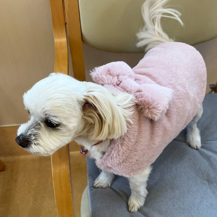 F1889a30 e90c 4025 840c e9f9cb9ea127 1670138355082