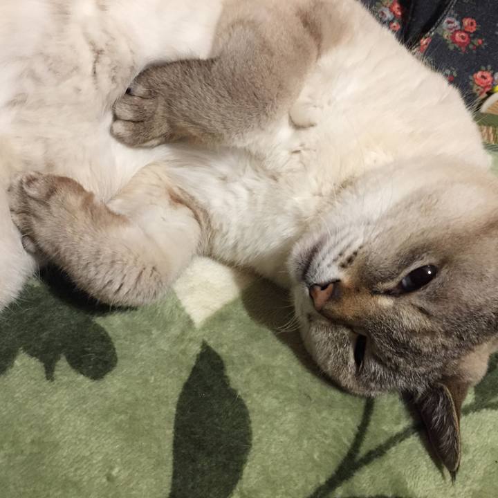 F188a8d0 5e09 49f1 87c4 2eeda5d222c2 1586950831370