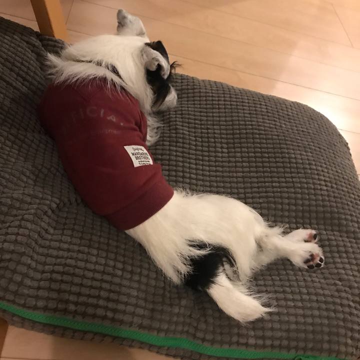 F188b4fc a12f 4e4a a524 a8d463dc4c12 1541941529446