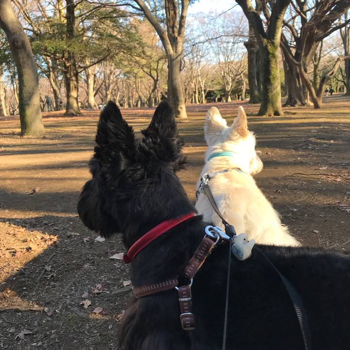 F1892885 1d2d 4fff a91f c91c7e10aae5 1514799607750