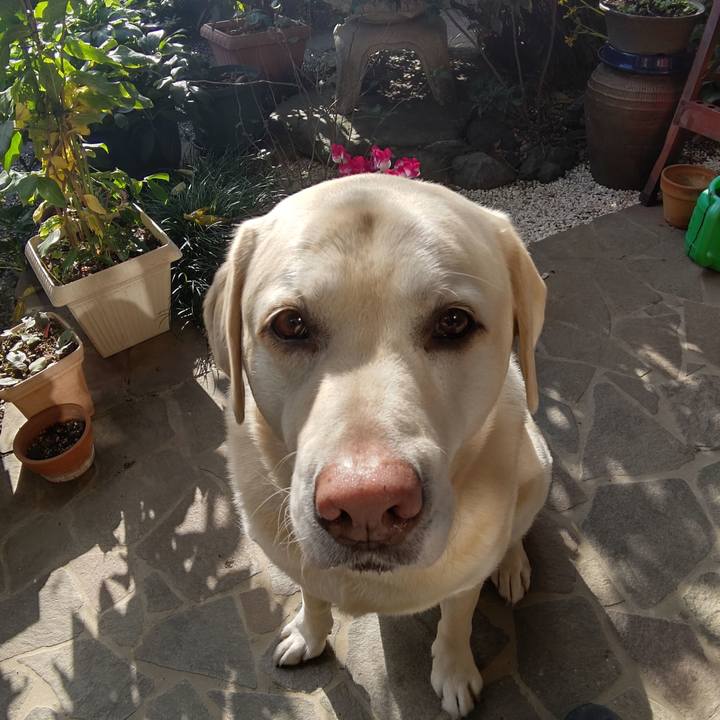 F18976d8 bb0c 4ec1 8abc edc56f61f5a4 1701577380440