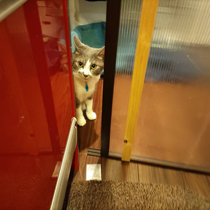 F1898262 fa78 4ac1 a5ea f660c0ba3c69 1654782131547