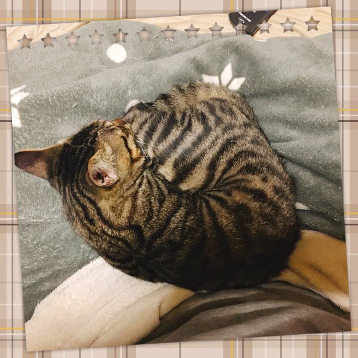 F189b2a5 cdd6 4a55 a656 9b38c28e6069 1542031381907