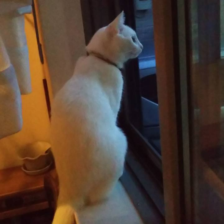 F189b3ed 942a 46fa 9a8b 821e26e92ff8 1627673910288