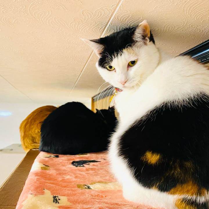 F189e080 318a 48a4 a0e6 1c8d55cc2436 1709330815960