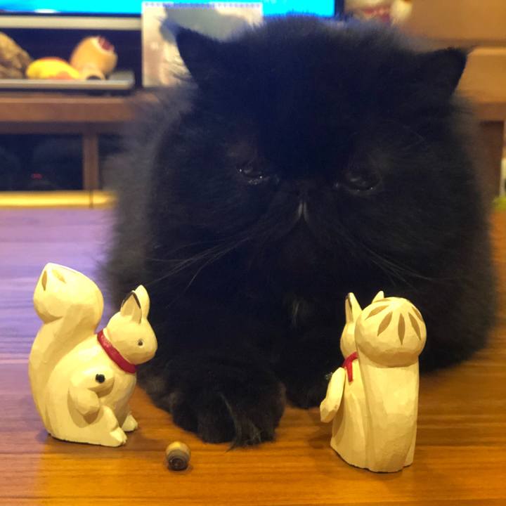 F189fc7d ff34 4665 809a 205577268a76 1573301592979