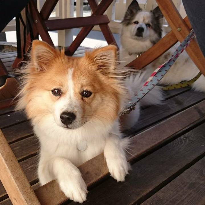 F18a2099 a872 4d8e 8e22 136f7a2069af 1587900808806