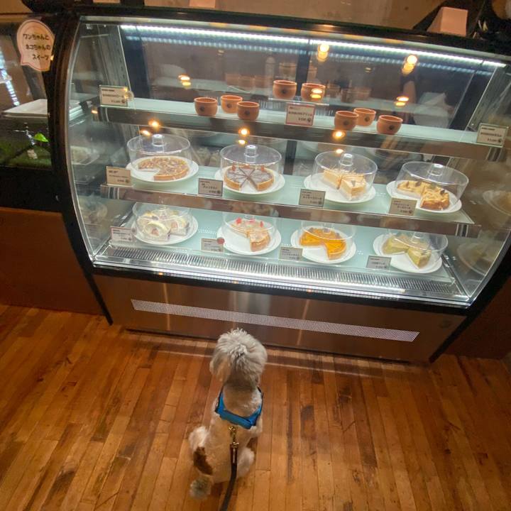 F18a61ab 1a16 4aec 8f21 5b1f6a87637d 1645869666956