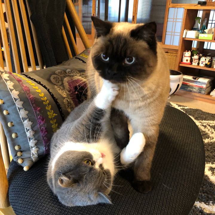 F18a99d6 e2f0 422a a8b7 ecde89034edc 1615601581107