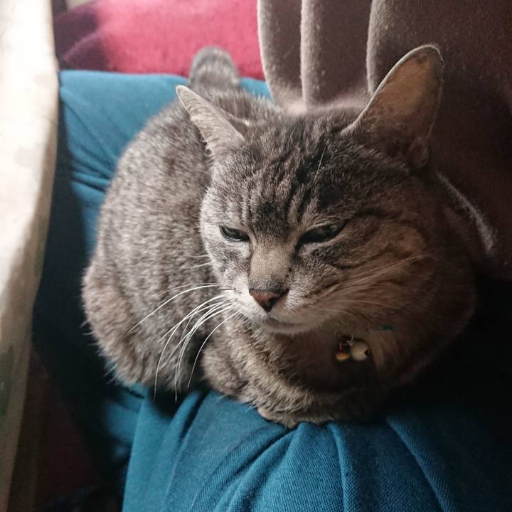 F18a9b0d ec0c 4b5c a5eb 8fc7f0f00fb1 1557736528315