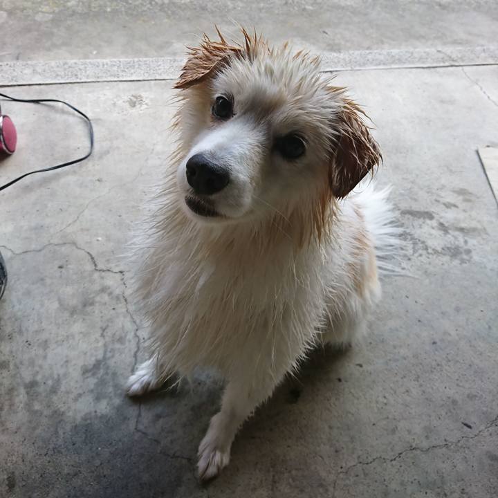 F18ade76 33f2 46c6 aaf3 8ca18f0944d5 1553584675839