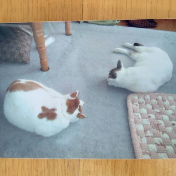 F18ae2da fcb1 4990 80af c15646bd6b8f 1668214853986