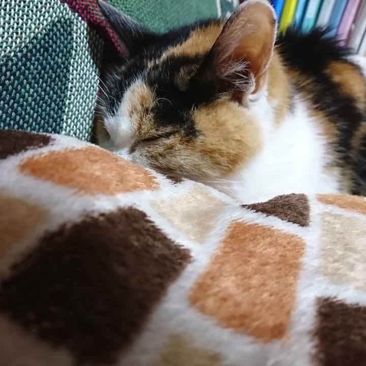 F18ae331 c63e 4a82 a2c5 1ec94ecc4dad 1575115869261