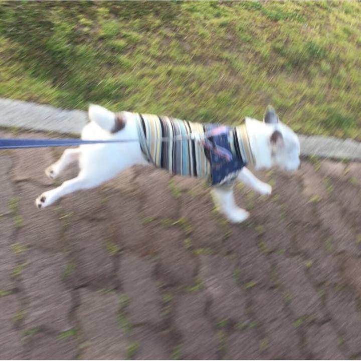 F18ae4ef 1e0d 402e 9ec5 969d791d3b9e 1774654337991