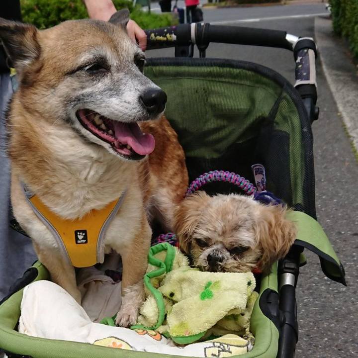 F18afe4f 5aa1 446d 9126 af6abfac0c68 1651496678657