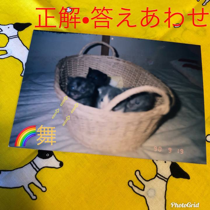 F18b130b 0770 46d5 9a83 d5c33f111651 1597043957513