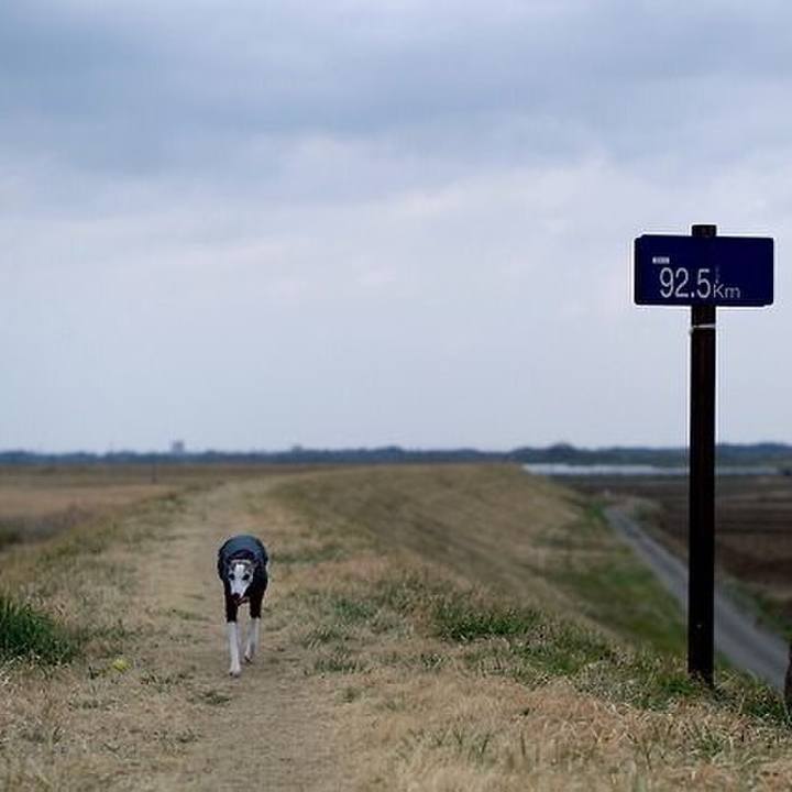 F18b4924 ebd8 44af a161 69ea9d209e0d 1523366357465