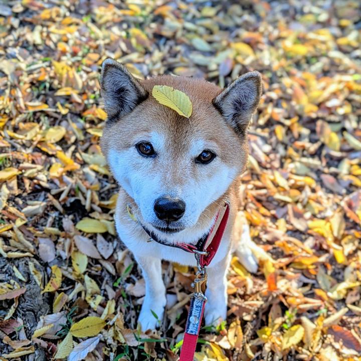 F18b5c90 3aa3 43ec ae91 59ae07b69466 1733214301166