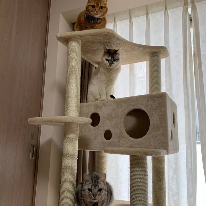 F18b77d3 59d6 4fb8 b618 c69c72188962 1586671431505