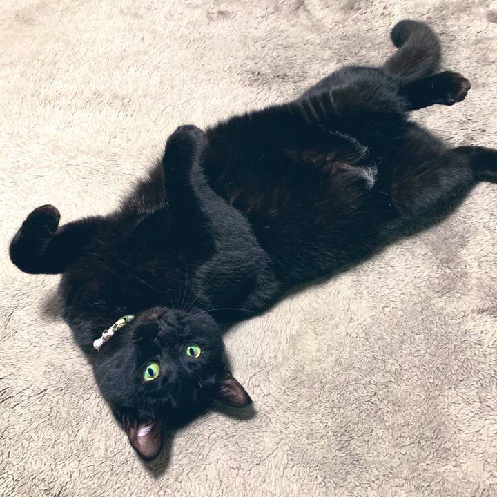 F18bace6 5759 4d25 9d81 045260b24637 1553904088519