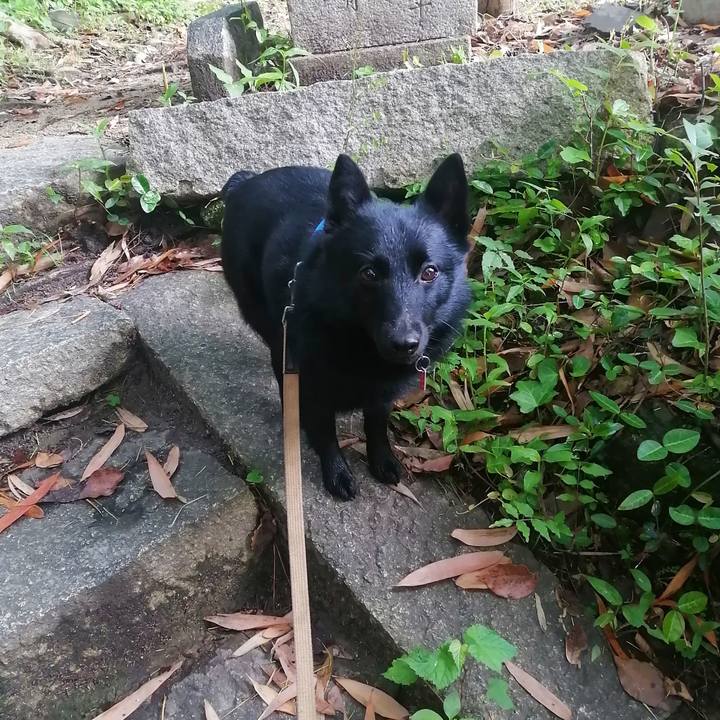 F18bb3a5 44cc 49e8 9ef4 b79c768fa19c 1622848239617